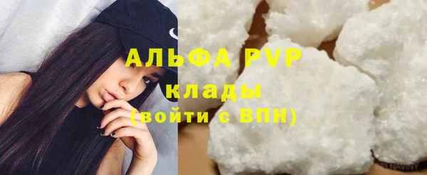 спиды Покачи
